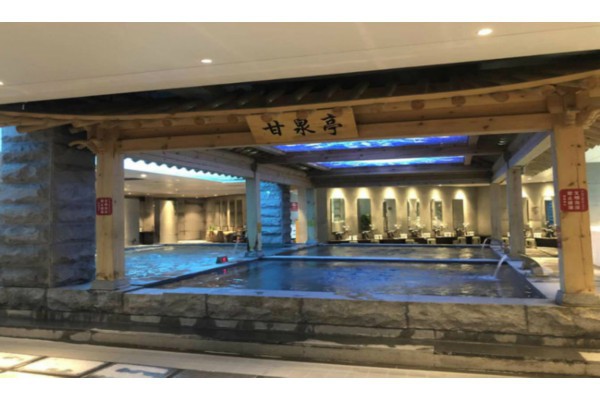 成都隐秘庭院，养生茶韵好去处(成都隐庐)